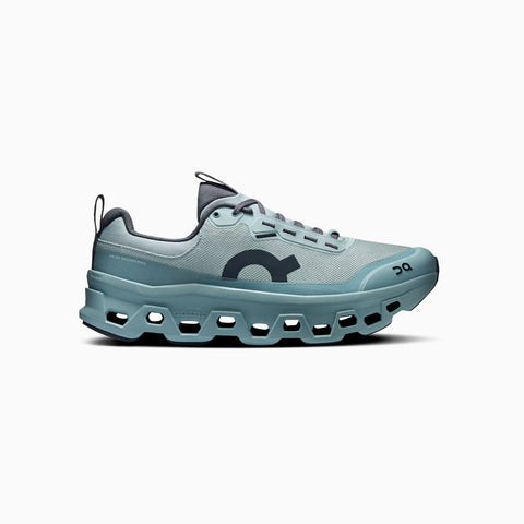 On Cloudmonster 1 Waterproof Brook | Wash Men's