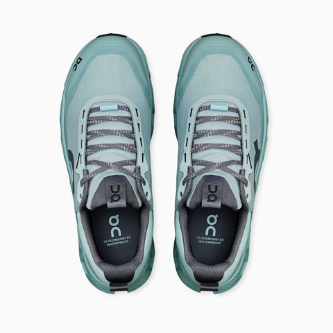On Cloudmonster 1 Waterproof Brook | Wash Men's