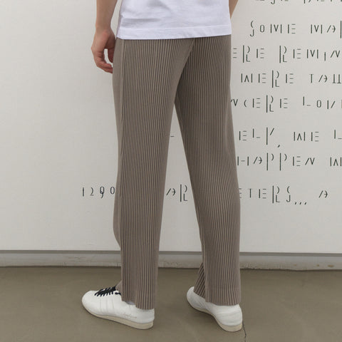 Homme Plissé Issey Miyake Kersey Pleats Trousers Gray