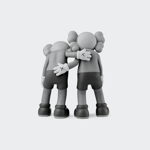 Kaws Companion Along The Way Grey
