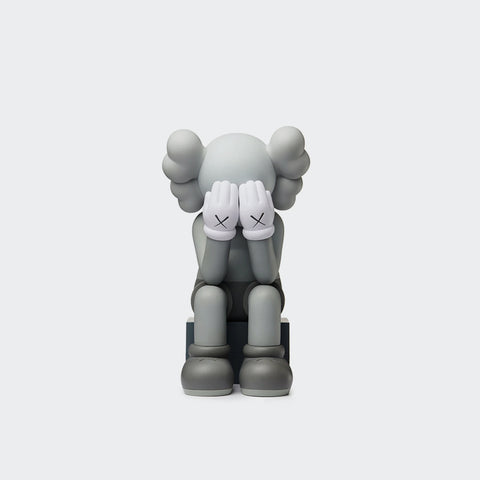 Kaws Companion Passing Through Grey 2018