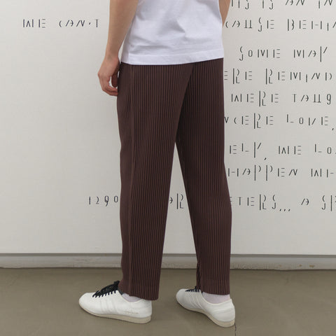 Homme Plissé Issey Miyake Color Pleats Trousers Edge Brown