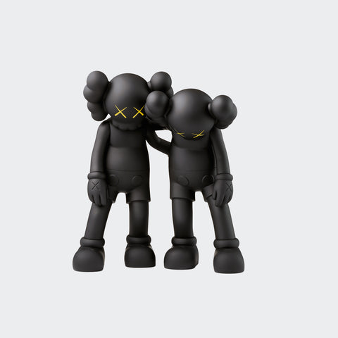 Kaws Companion Along The Way Black