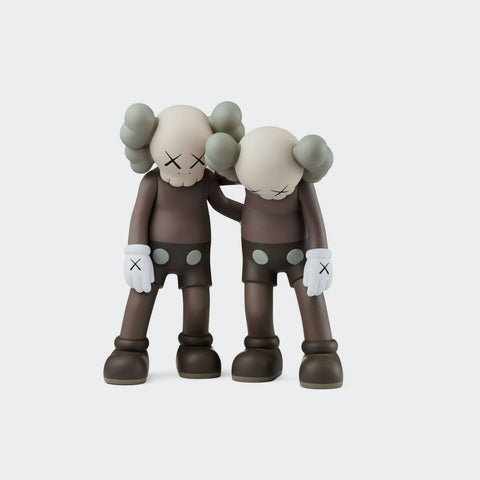 Kaws Companion Along The Way Brown