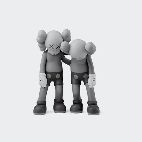 Kaws Companion Along The Way Grey