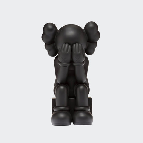 Kaws Companion Passing Through Black 2013